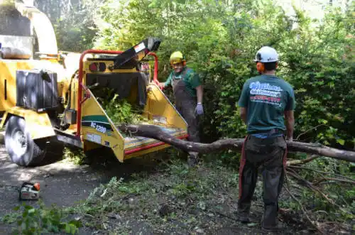 tree services Center Hill